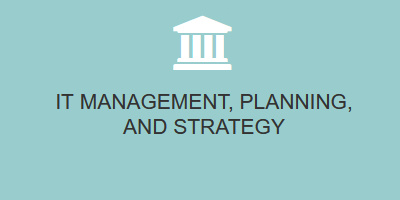 IT Management, Planning, and Strategy