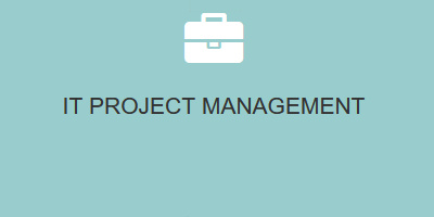 IT Project Management